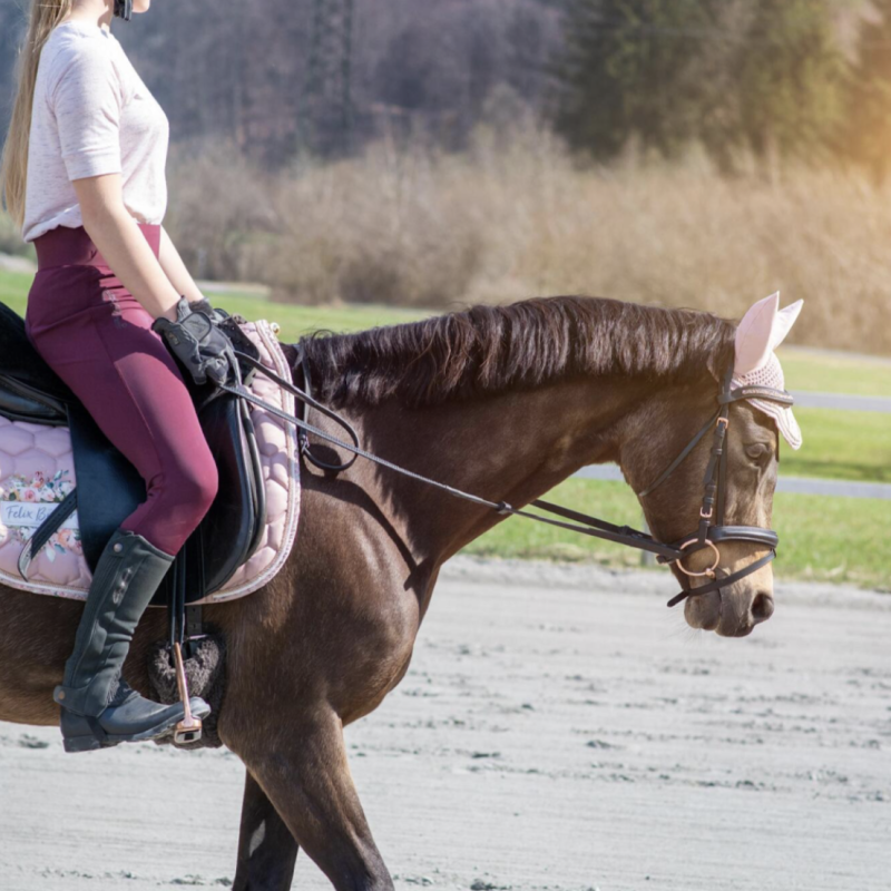 girl riding her horse